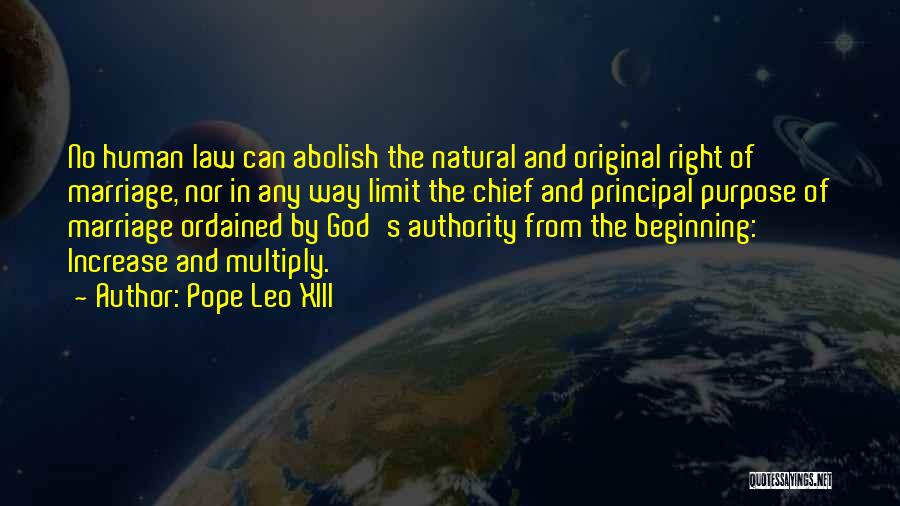 Pope Leo XIII Quotes 947728