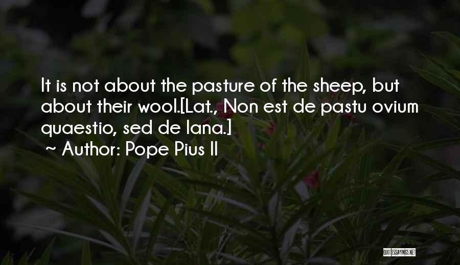 Pope Pius II Quotes 1430236