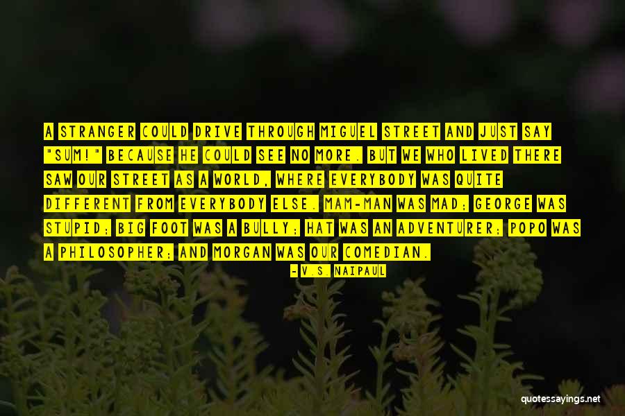 Popo Quotes By V.S. Naipaul Popo Quotes By V.S. Naipaul