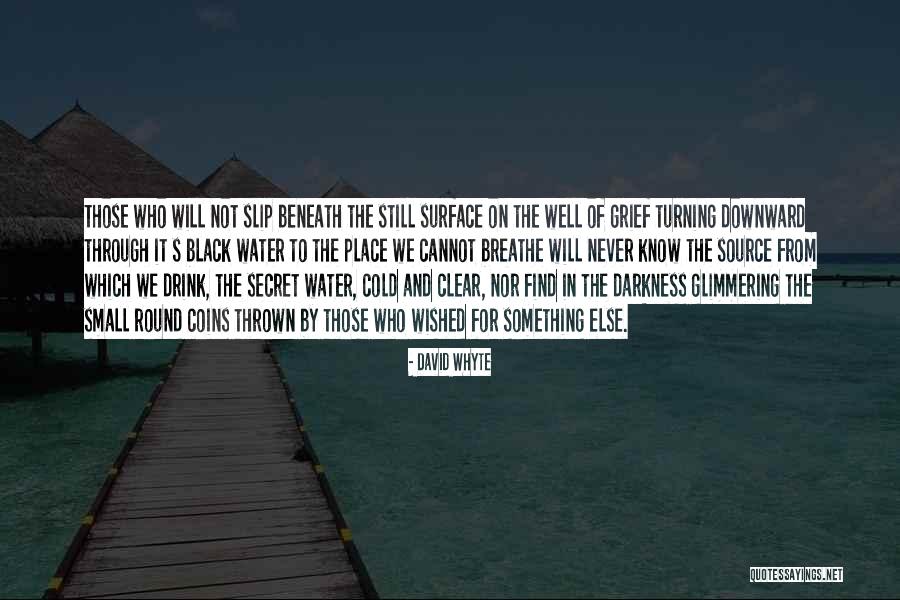 Popori Quotes By David Whyte Popori Quotes By David Whyte