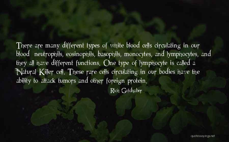 Popowski Brothers Quotes By Rich Goldhaber Popowski Brothers Quotes By Rich Goldhaber