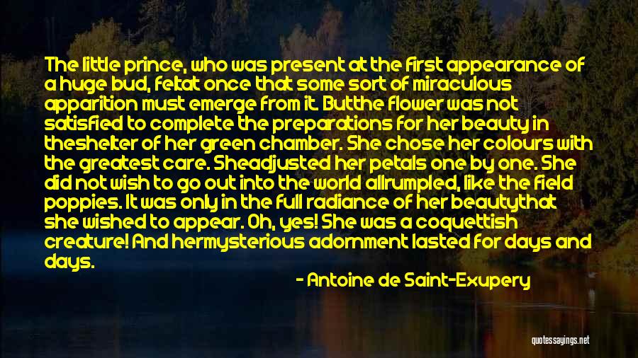 Poppies Quotes By Antoine De Saint-Exupery Poppies Quotes By Antoine De Saint-Exupery