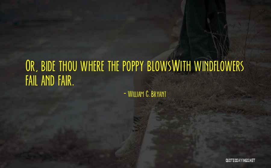 Poppies Quotes By William C. Bryant Poppies Quotes By William C. Bryant