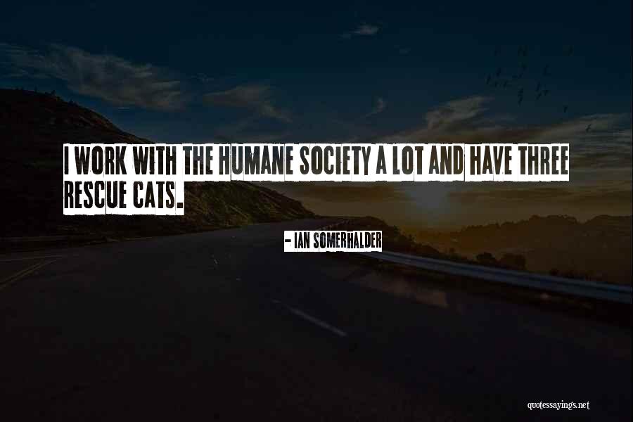 Popping The Cherry Quotes By Ian Somerhalder Popping The Cherry Quotes By Ian Somerhalder