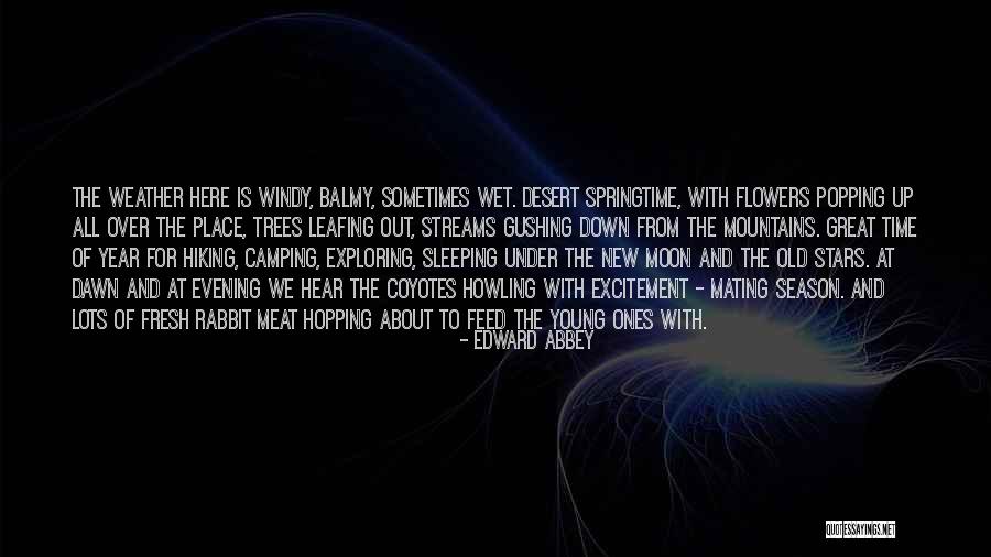 Popping Up Quotes By Edward Abbey Popping Up Quotes By Edward Abbey