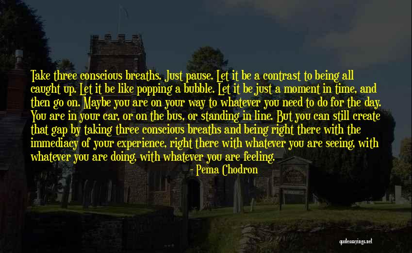 Popping Up Quotes By Pema Chodron Popping Up Quotes By Pema Chodron