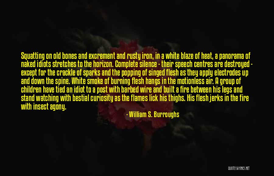Popping Up Quotes By William S. Burroughs Popping Up Quotes By William S. Burroughs