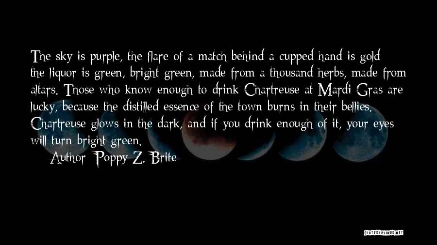 Poppy Z. Brite Quotes 1499061