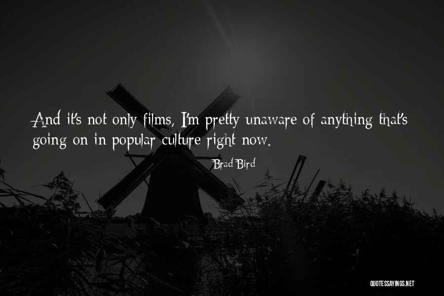 Popular Culture Quotes By Brad Bird Popular Culture Quotes By Brad Bird