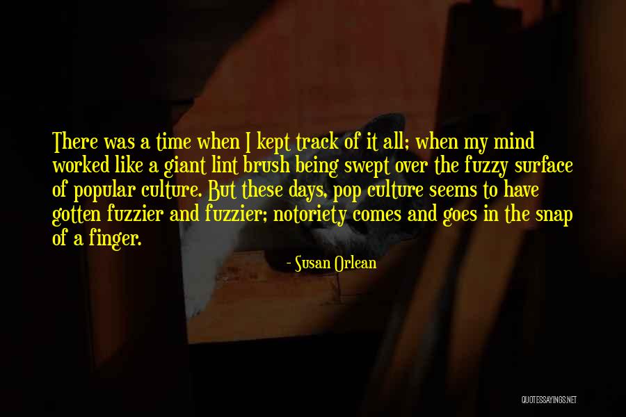 Popular Culture Quotes By Susan Orlean Popular Culture Quotes By Susan Orlean