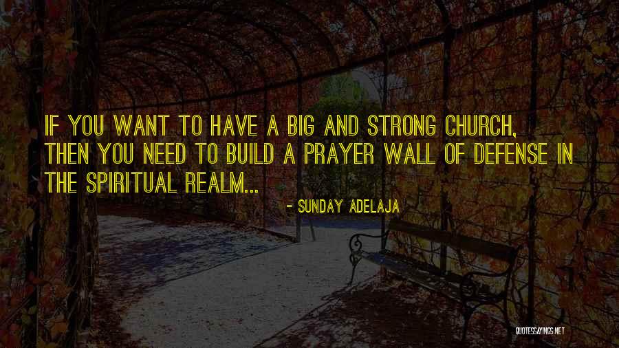 Popular Elvis Quotes By Sunday Adelaja Popular Elvis Quotes By Sunday Adelaja