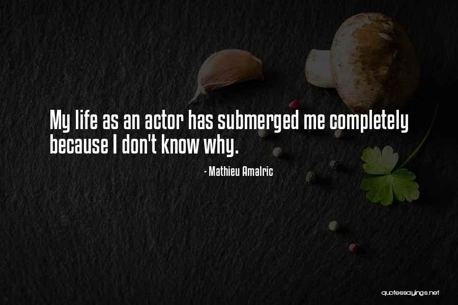 Popular Tenacity Quotes By Mathieu Amalric Popular Tenacity Quotes By Mathieu Amalric