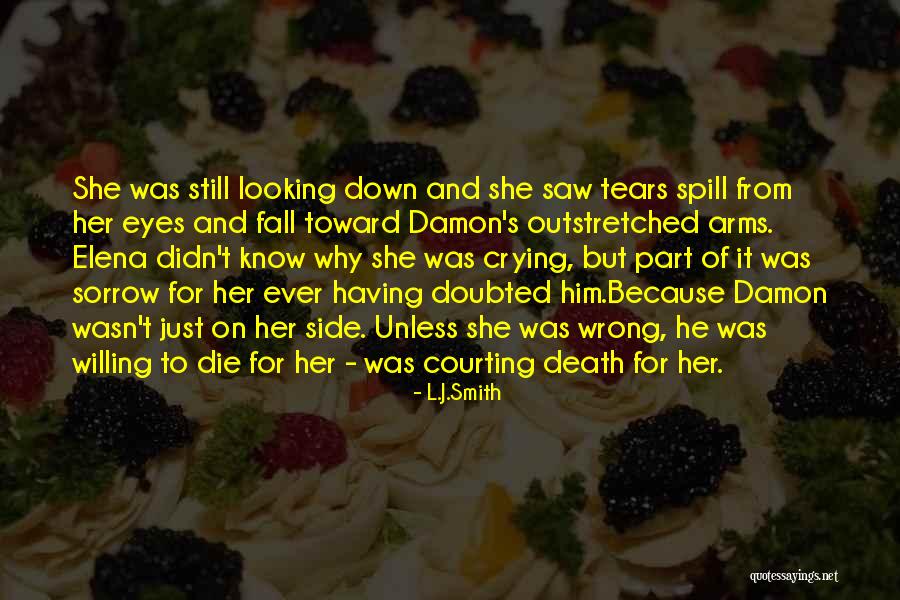 Populares Cookies Quotes By L.J.Smith Populares Cookies Quotes By L.J.Smith