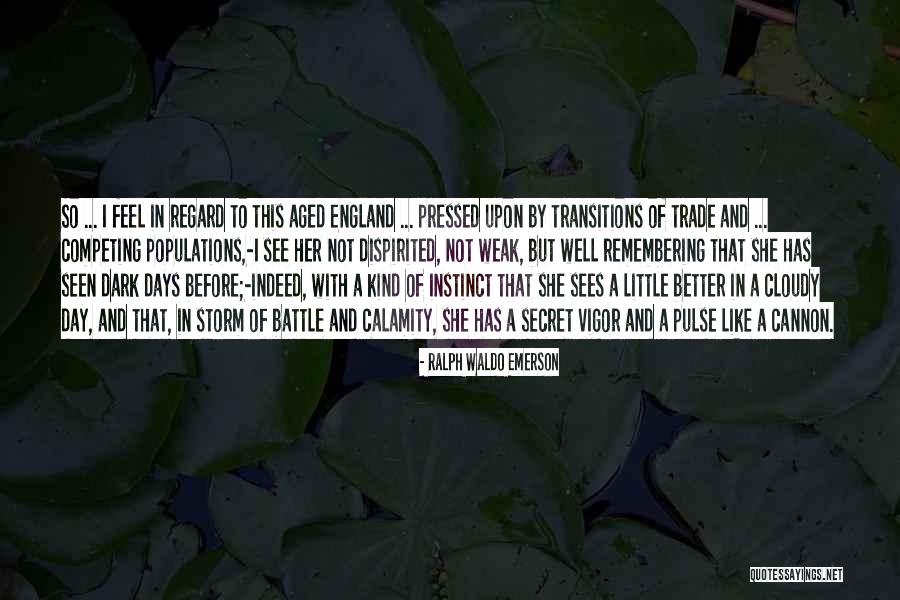 Populations Quotes By Ralph Waldo Emerson Populations Quotes By Ralph Waldo Emerson