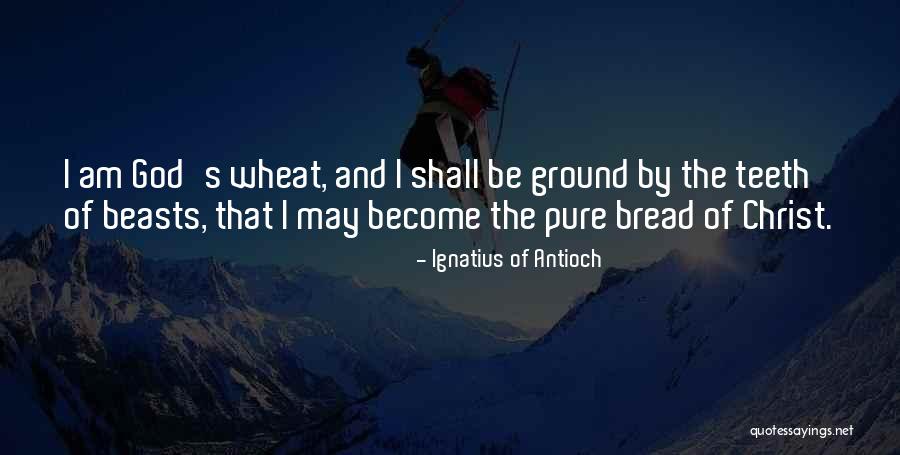 Populismus Quotes By Ignatius Of Antioch Populismus Quotes By Ignatius Of Antioch