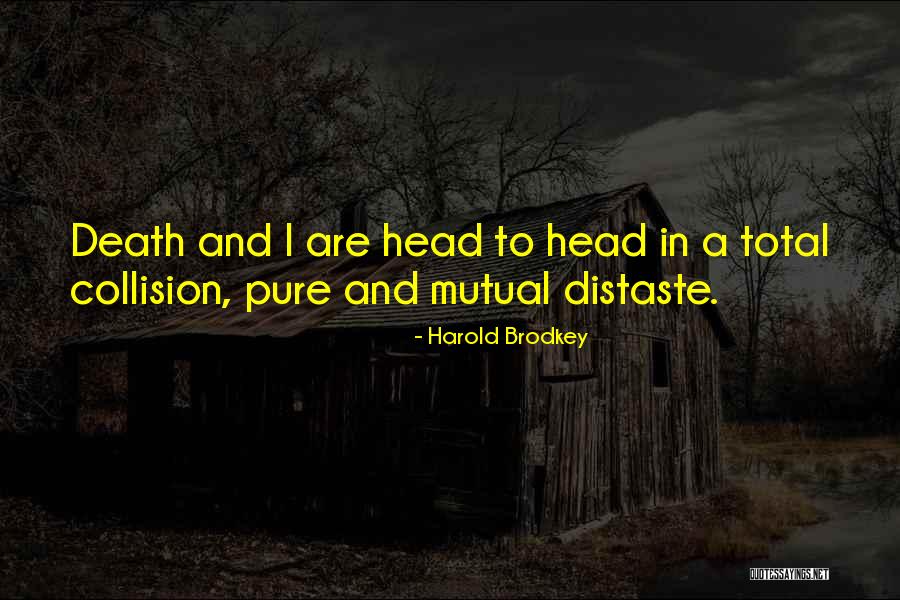 Porcellana Bianca Quotes By Harold Brodkey Porcellana Bianca Quotes By Harold Brodkey