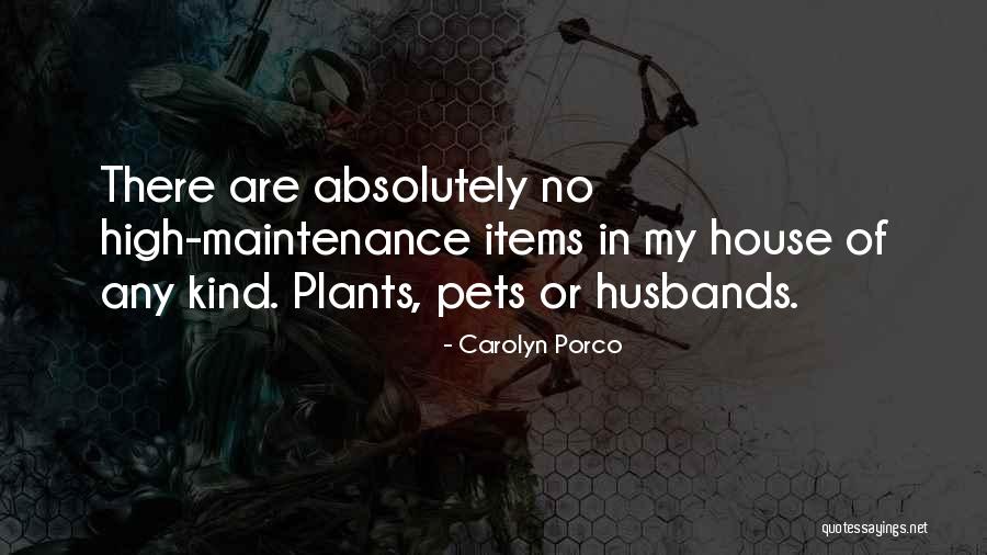 Porco Quotes By Carolyn Porco Porco Quotes By Carolyn Porco
