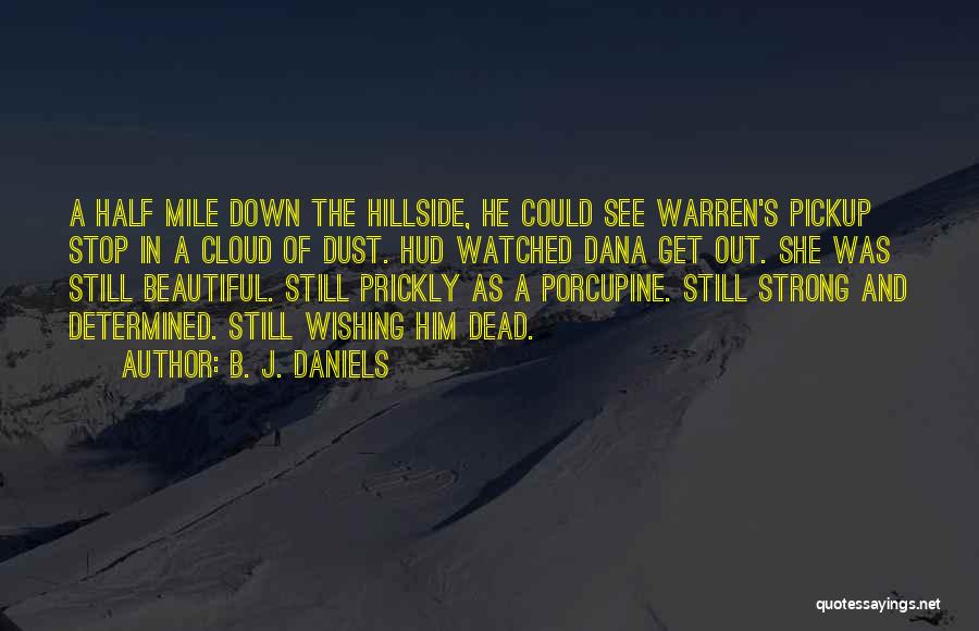Porcupine Quotes By B. J. Daniels