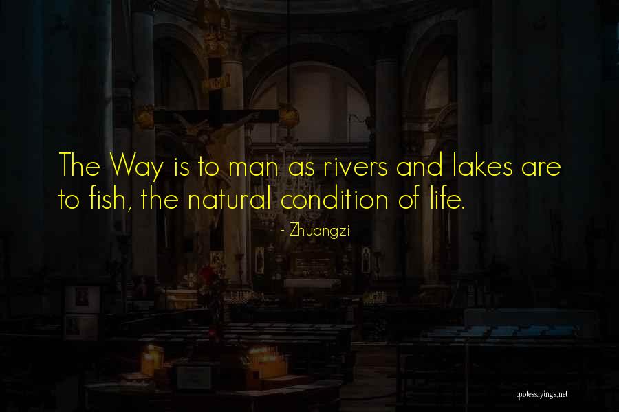 Porcupine Tree Lyric Quotes By Zhuangzi Porcupine Tree Lyric Quotes By Zhuangzi