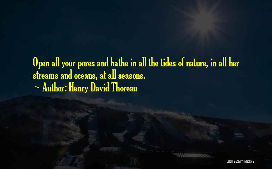 Pores Quotes By Henry David Thoreau