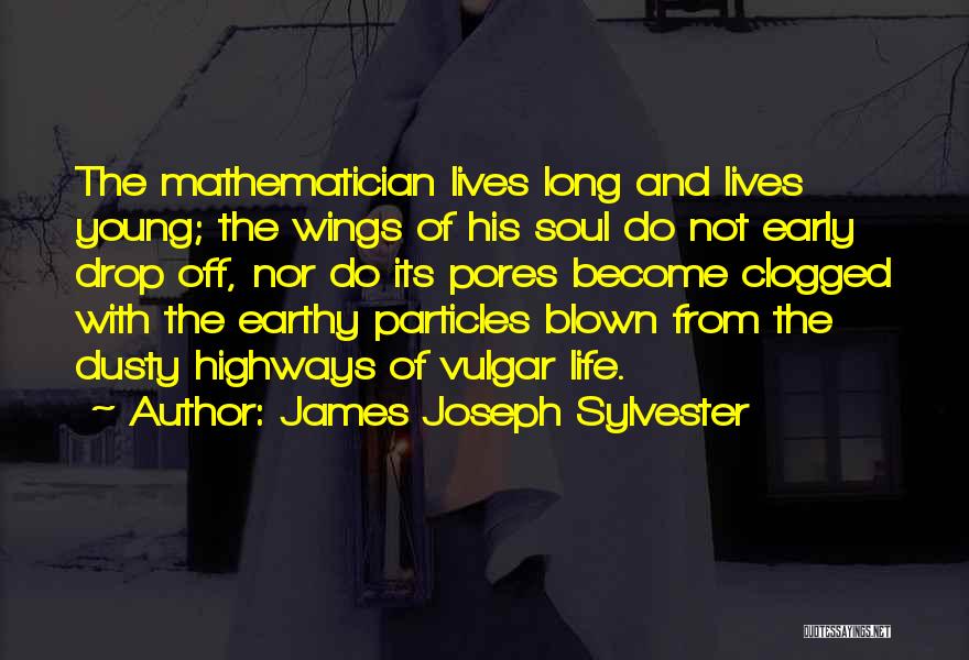 Pores Quotes By James Joseph Sylvester