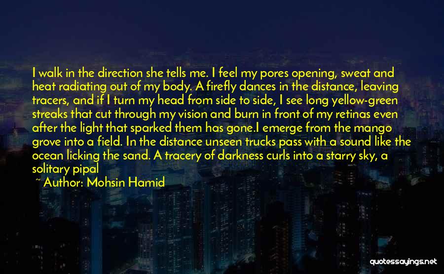 Pores Quotes By Mohsin Hamid