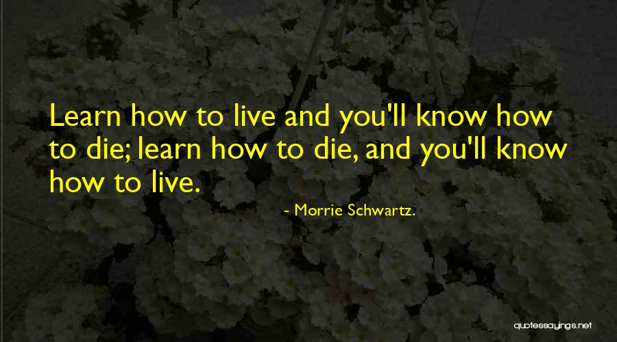 Porgies Man Quotes By Morrie Schwartz. Porgies Man Quotes By Morrie Schwartz.