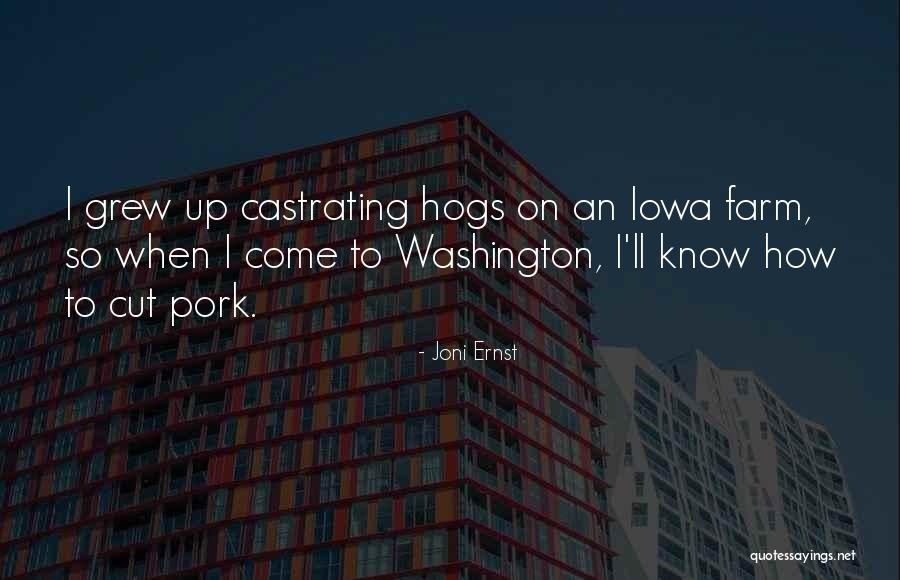 Pork Quotes By Joni Ernst Pork Quotes By Joni Ernst