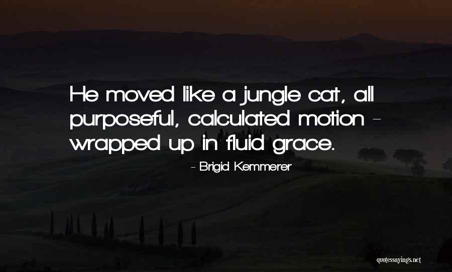 Porkchop Indeterminacy Quotes By Brigid Kemmerer Porkchop Indeterminacy Quotes By Brigid Kemmerer