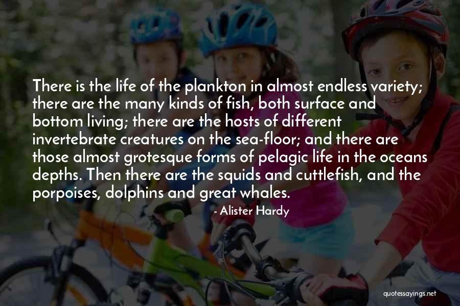 Porpoises And Dolphins Quotes By Alister Hardy Porpoises And Dolphins Quotes By Alister Hardy