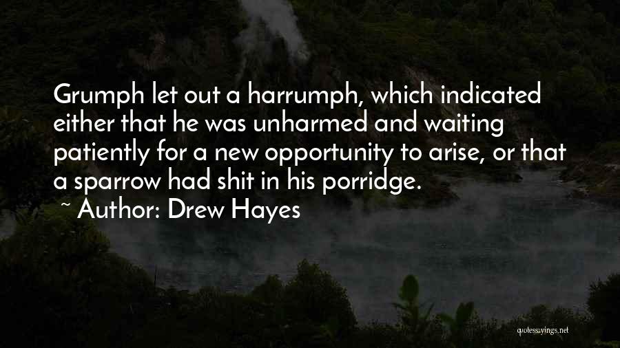 Porridge Quotes By Drew Hayes