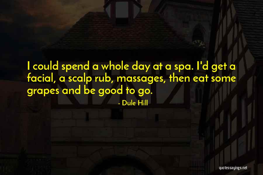 Porst Camera Quotes By Dule Hill Porst Camera Quotes By Dule Hill