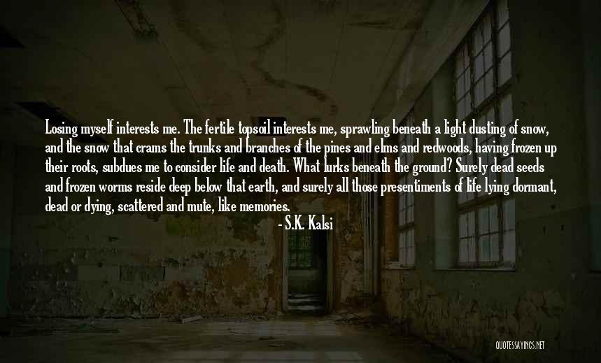 Portaaviones Ronald Quotes By S.K. Kalsi Portaaviones Ronald Quotes By S.K. Kalsi