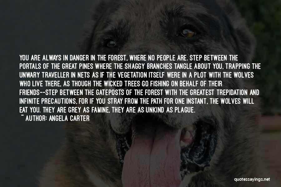 Portals Quotes By Angela Carter