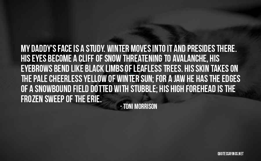 Portalupi Zinfandel Quotes By Toni Morrison Portalupi Zinfandel Quotes By Toni Morrison