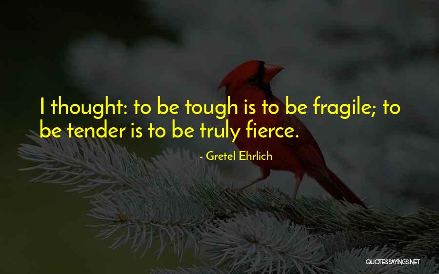 Portare Quotes By Gretel Ehrlich Portare Quotes By Gretel Ehrlich