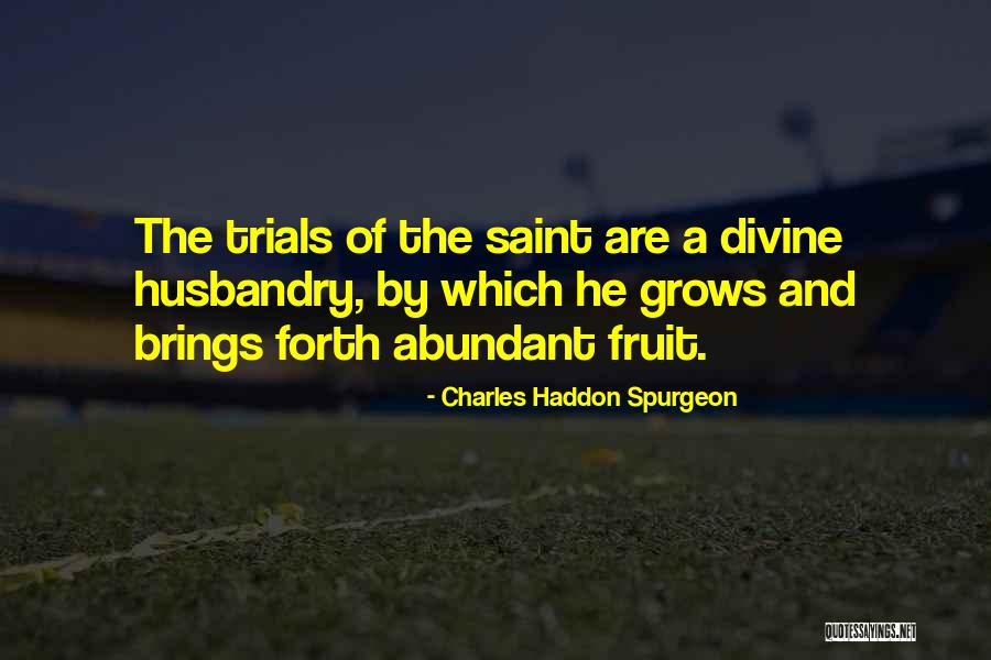 Portile Orasului Quotes By Charles Haddon Spurgeon Portile Orasului Quotes By Charles Haddon Spurgeon