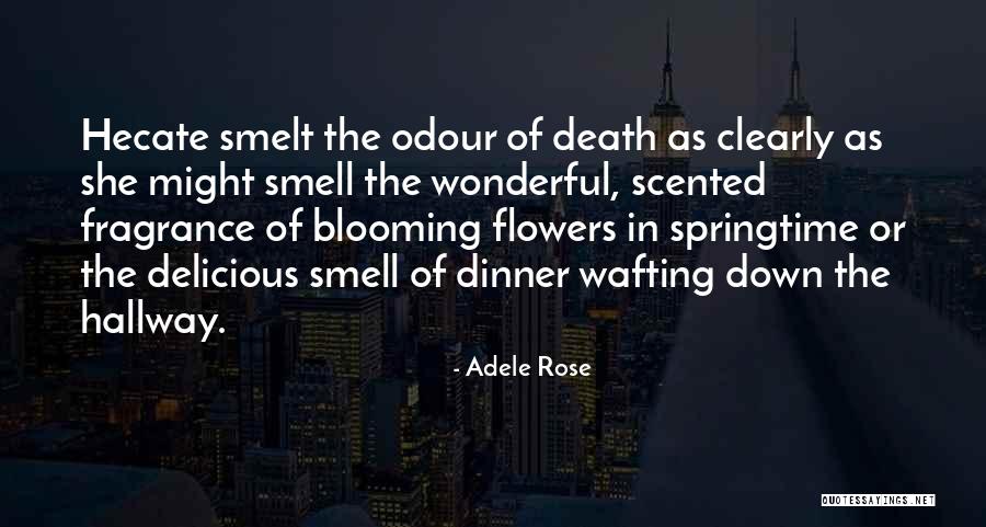 Portlandia Blackout Quotes By Adele Rose Portlandia Blackout Quotes By Adele Rose