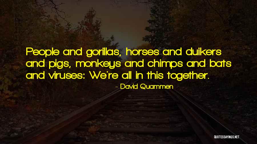 Portlandia Toni And Candace Quotes By David Quammen Portlandia Toni And Candace Quotes By David Quammen