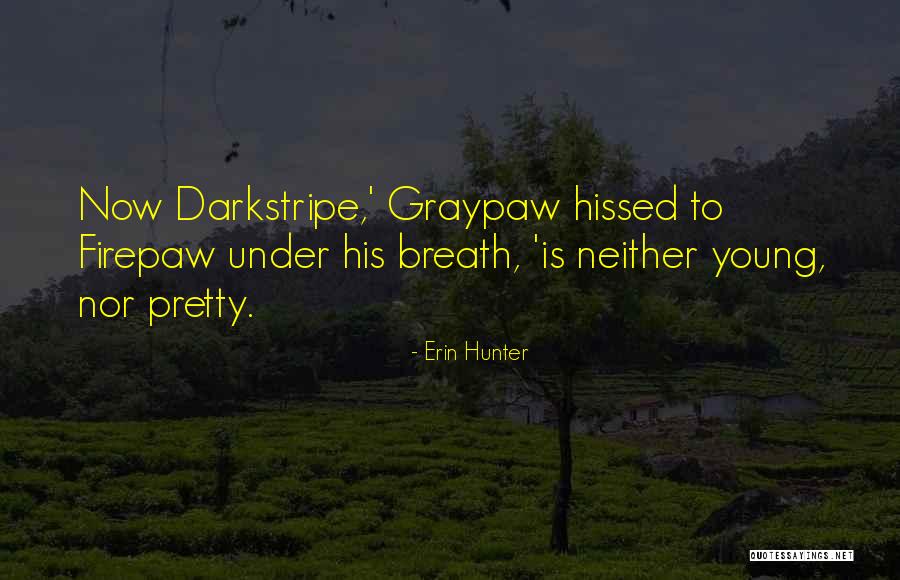 Portolani Quotes By Erin Hunter Portolani Quotes By Erin Hunter