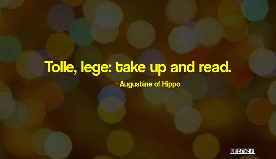 Portuese Dog Quotes By Augustine Of Hippo Portuese Dog Quotes By Augustine Of Hippo