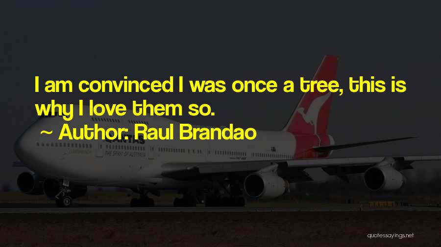 Portuguese Love Quotes By Raul Brandao