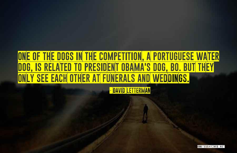 Portuguese Water Dog Quotes By David Letterman Portuguese Water Dog Quotes By David Letterman