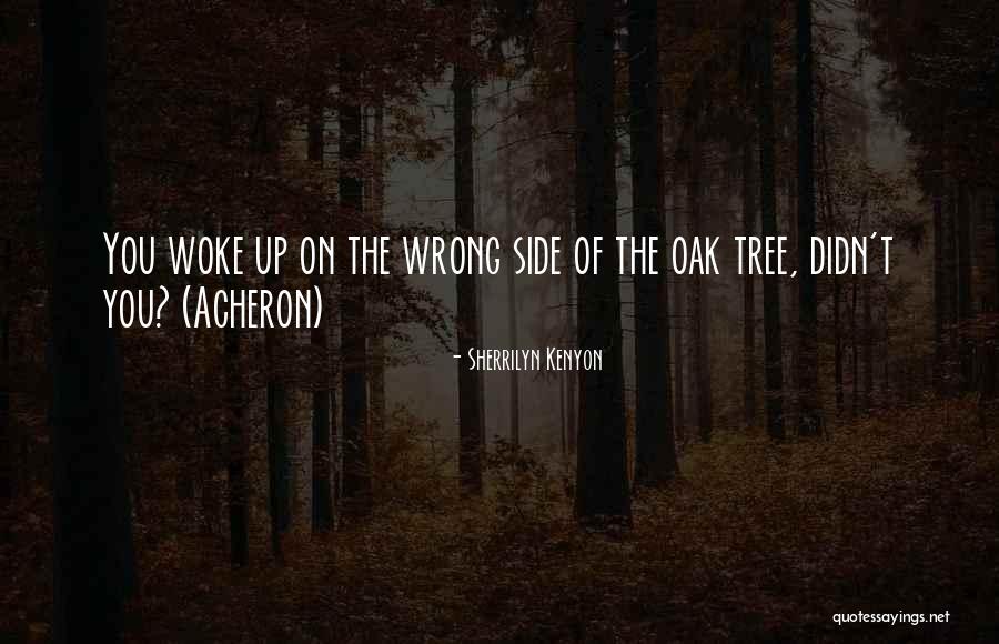 Porumbei Youtube Quotes By Sherrilyn Kenyon Porumbei Youtube Quotes By Sherrilyn Kenyon