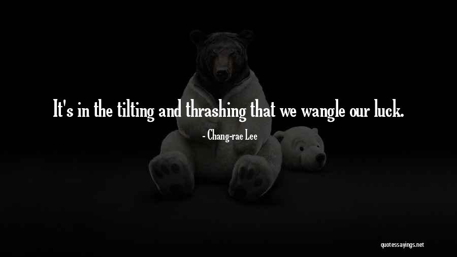 Positive About Soaring Quotes By Chang-rae Lee Positive About Soaring Quotes By Chang-rae Lee