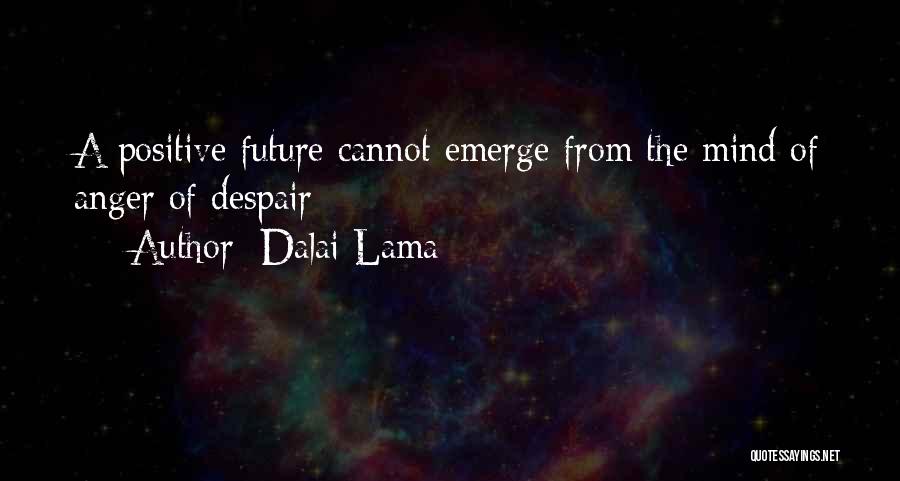 Positive Anger Quotes By Dalai Lama