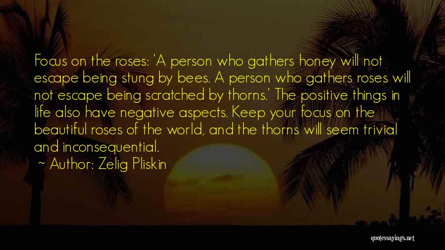 Positive Aspects Of Life Quotes By Zelig Pliskin