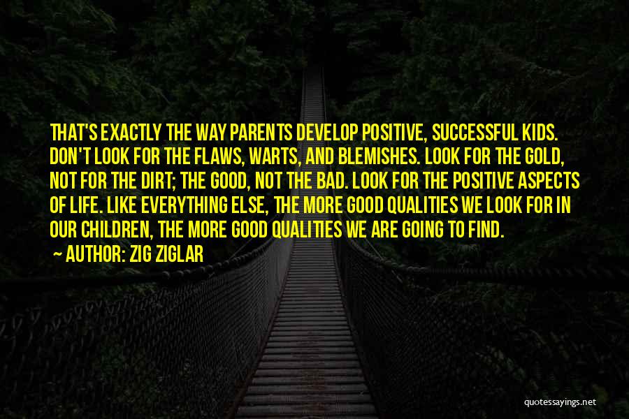 Positive Aspects Of Life Quotes By Zig Ziglar