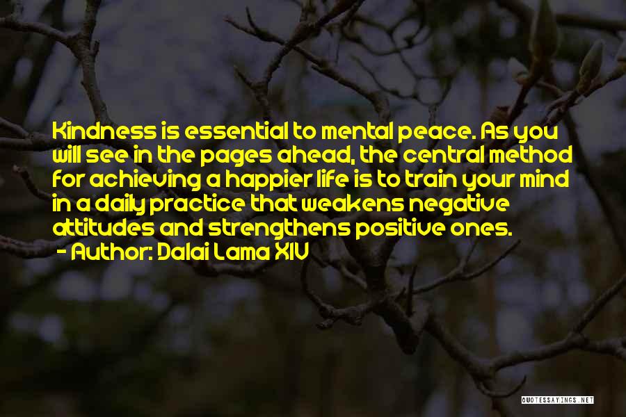 Positive Attitudes Quotes By Dalai Lama XIV