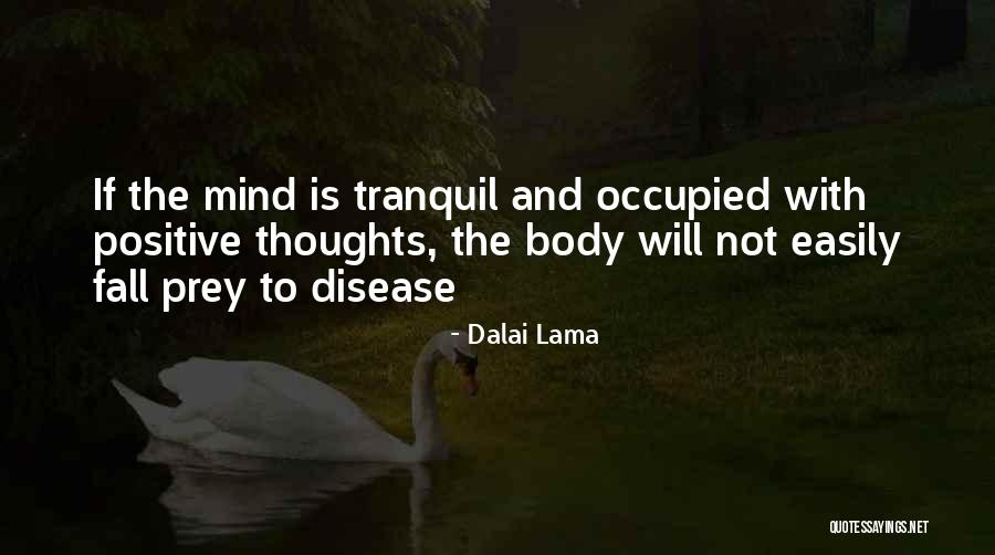 Positive Body Quotes By Dalai Lama Positive Body Quotes By Dalai Lama
